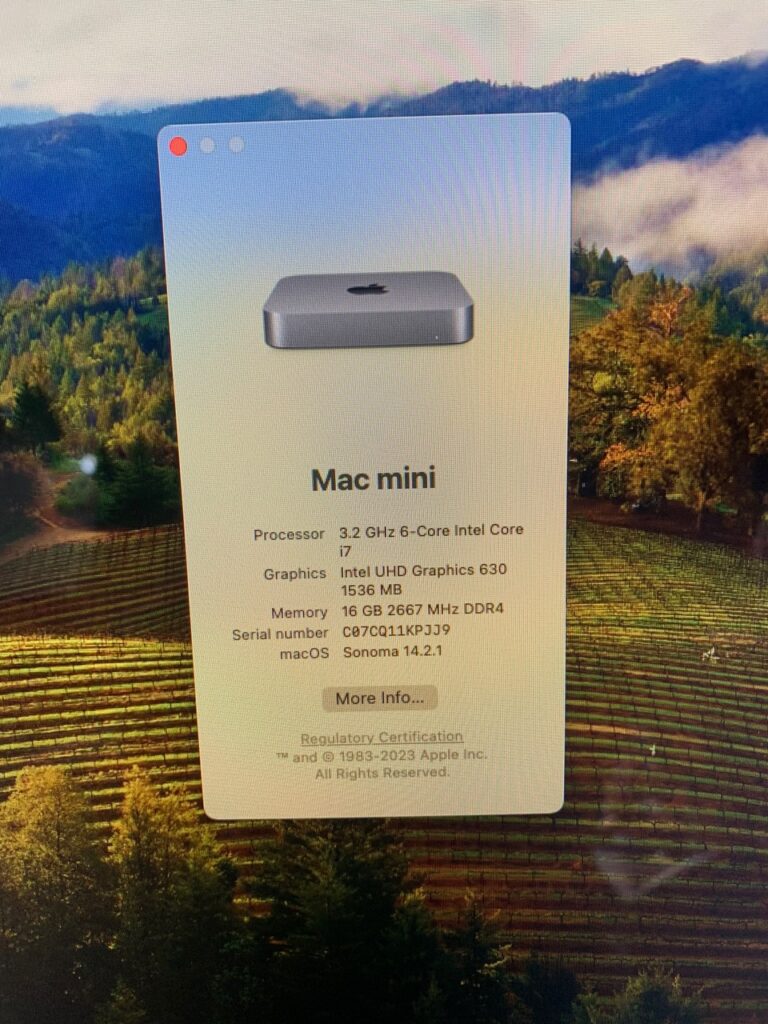 mac mini 2018 + Thunderbolt Display 27 Pulgadas